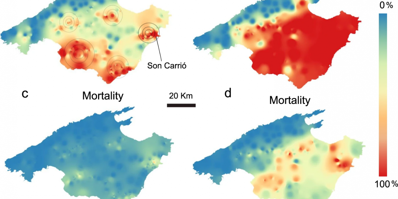 Phylogenetic inference enables reconstruction of a long-overlooked outbreak of almond leaf scorch disease (Xylella fastidiosa) in Europe
