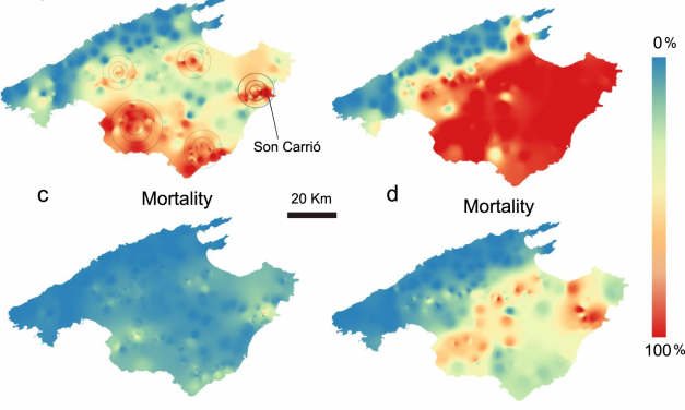 Phylogenetic inference enables reconstruction of a long-overlooked outbreak of almond leaf scorch disease (Xylella fastidiosa) in Europe