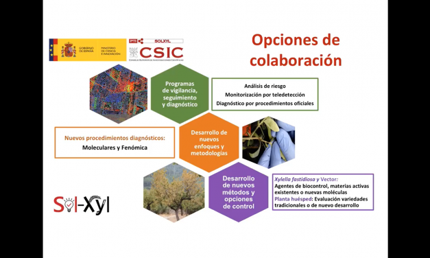 Seminario 25 de marzo de 2021 disponible en el canal «Soluciones a Xylella fastidiosa»