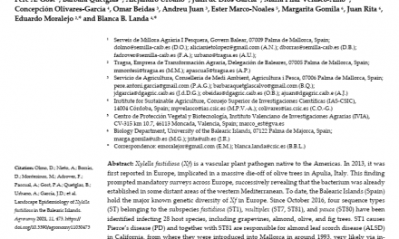 Avances en el estudio de la ecología y epidemiología de las enfermedades causadas por Xylella.