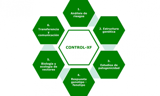 Seminario 18 de marzo de 2021 disponible en el canal «Soluciones a Xylella fastidiosa»