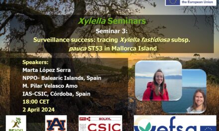 SEMINARIO 2 DE ABRIL DE 2024 DISPONIBLE EN EL CANAL «SOLUCIONES A XYLELLA FASTIDIOSA»