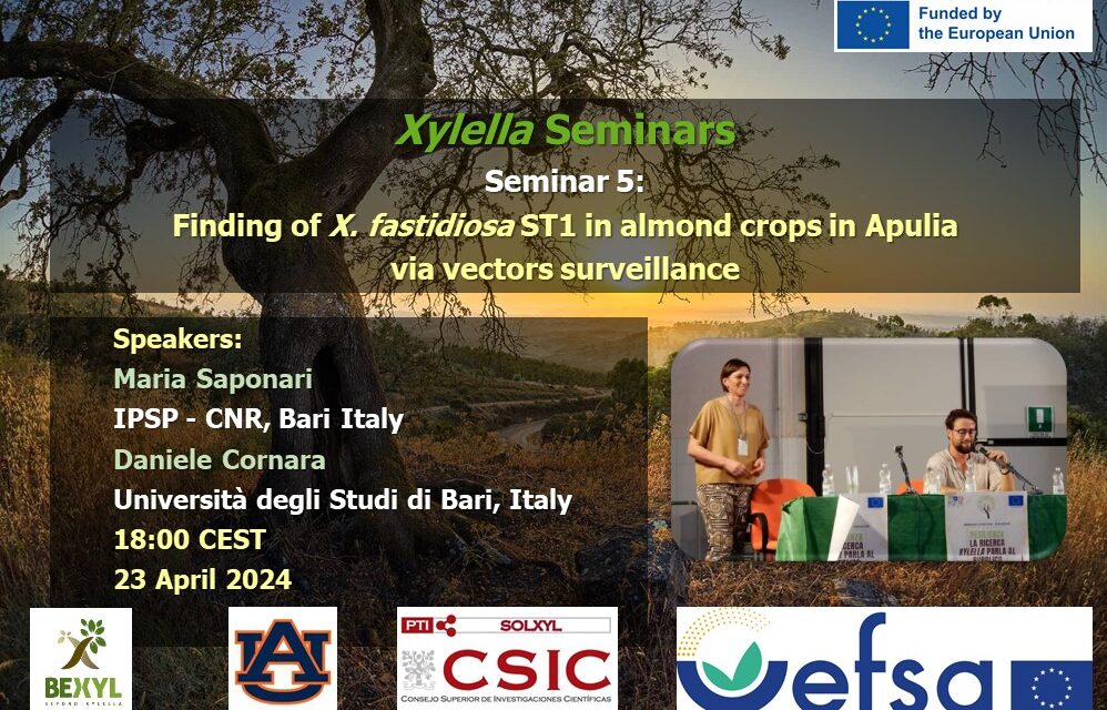 EL SEMINARIO 23 DE ABRIL, QUINTO DE LA SERIE XYLELLA YA ESTÁ DISPONIBLE EN EL CANAL «SOLUCIONES A XYLELLA FASTIDIOSA»