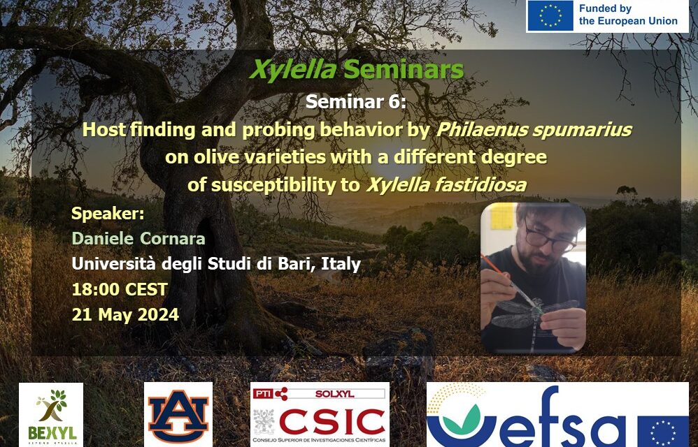 SEMINARIO 21 MAYO DISPONIBLE EN EL CANAL YOUTUBE «SOLUCIONES A XYLELLA FASTIDIOSA»