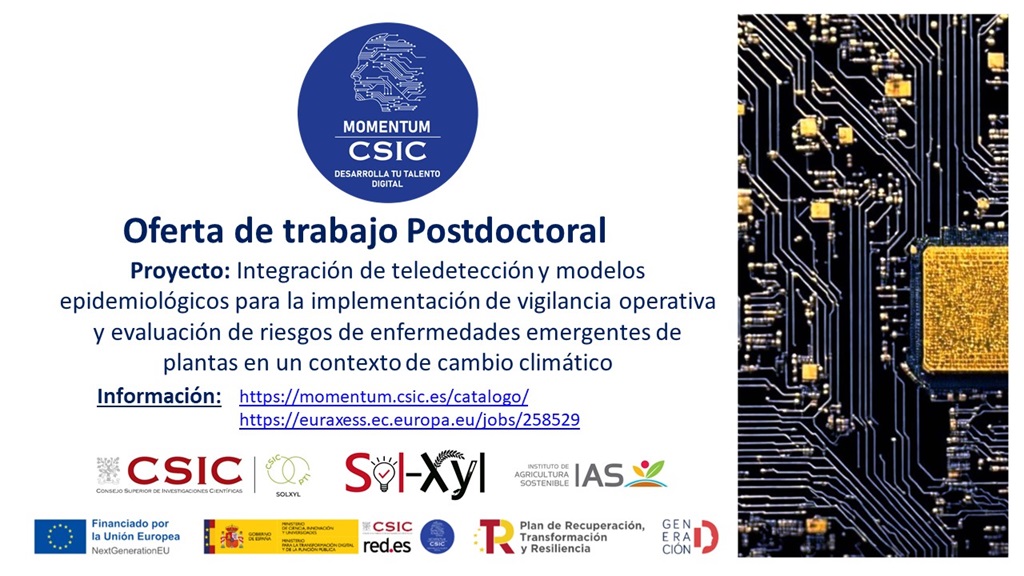 OFERTA POSTDOCTORAL