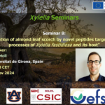 SEMINARIO 26 NOVIEMBRE DISPONIBLE EN EL CANAL YOUTUBE «SOLUCIONES A XYLELLA FASTIDIOSA»