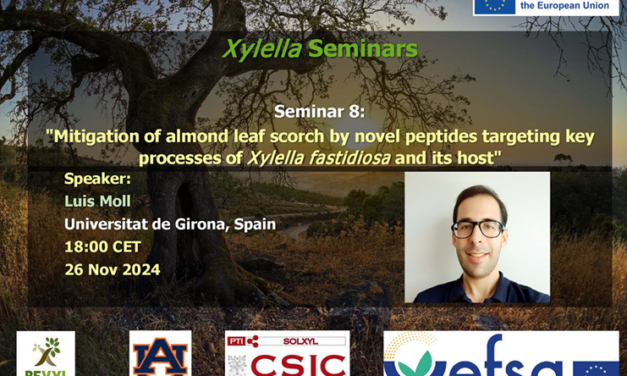 SEMINARIO 26 NOVIEMBRE DISPONIBLE EN EL CANAL YOUTUBE «SOLUCIONES A XYLELLA FASTIDIOSA»