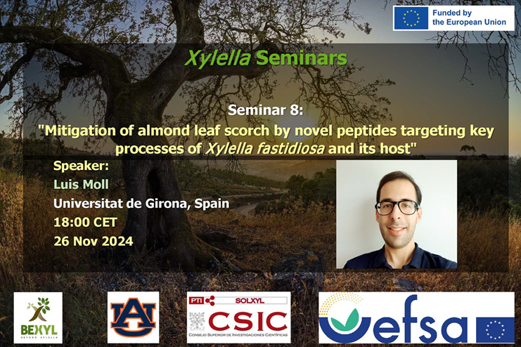 SEMINARIO Nº8, 26 noviembre 2024 DISPONIBLE EN EL CANAL YOUTUBE «SOLUCIONES A XYLELLA FASTIDIOSA»