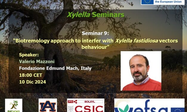 SEMINARIO Nº 9, DE 10 DICIEMBRE 2024 DISPONIBLE EN EL CANAL YOUTUBE «SOLUCIONES A XYLELLA FASTIDIOSA»