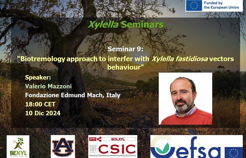 SEMINARIO Nº 9, DE 10 DICIEMBRE 2024 DISPONIBLE EN EL CANAL YOUTUBE «SOLUCIONES A XYLELLA FASTIDIOSA»