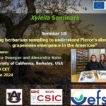 SEMINARIO Nº10, de 14 enero 2025 DISPONIBLE EN EL CANAL YOUTUBE «SOLUCIONES A XYLELLA FASTIDIOSA»