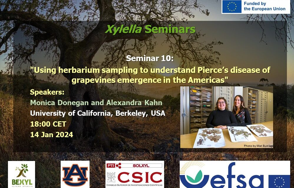 SEMINARIO Nº10, de 14 enero 2025 DISPONIBLE EN EL CANAL YOUTUBE «SOLUCIONES A XYLELLA FASTIDIOSA»