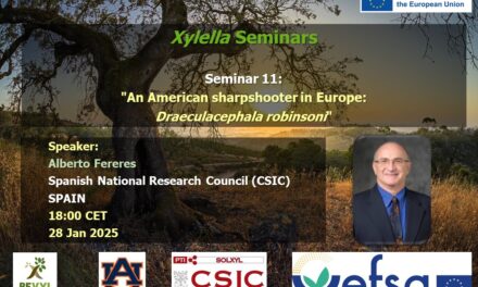 SEMINARIO Nº11, 28 enero 2025 DISPONIBLE EN EL CANAL YOUTUBE «SOLUCIONES A XYLELLA FASTIDIOSA»