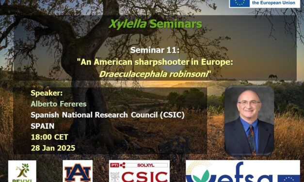 SEMINARIO Nº11, 28 enero 2025 DISPONIBLE EN EL CANAL YOUTUBE «SOLUCIONES A XYLELLA FASTIDIOSA»