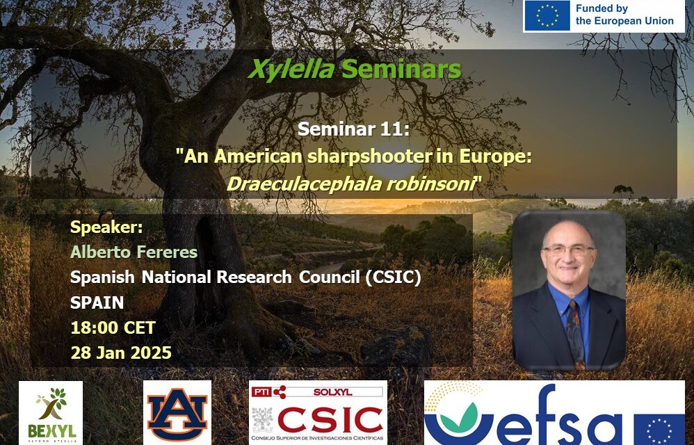 SEMINARIO Nº11, 28 enero 2025 DISPONIBLE EN EL CANAL YOUTUBE «SOLUCIONES A XYLELLA FASTIDIOSA»