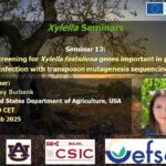 SEMINARIO Nº13, 25 febrero 2025 DISPONIBLE EN EL CANAL YOUTUBE «SOLUCIONES A XYLELLA FASTIDIOSA»