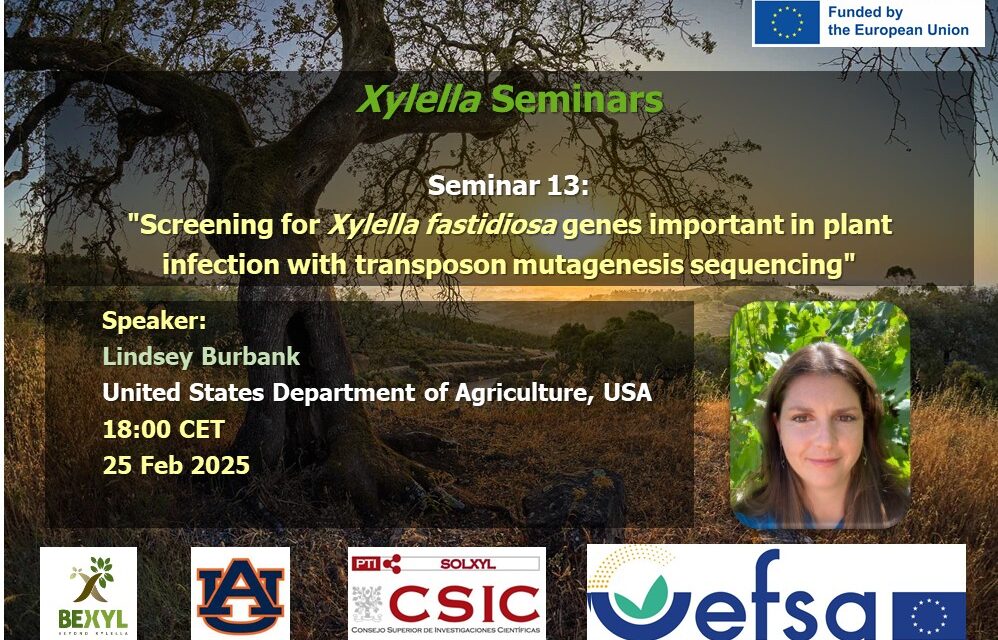 SEMINARIO Nº13, 25 febrero 2025 DISPONIBLE EN EL CANAL YOUTUBE «SOLUCIONES A XYLELLA FASTIDIOSA»