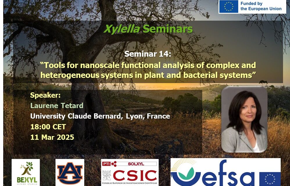 SEMINARIO Nº14, 11 marzo 2025 DISPONIBLE EN EL CANAL YOUTUBE «SOLUCIONES A XYLELLA FASTIDIOSA»
